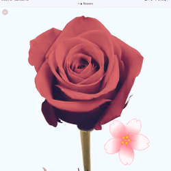 Royal red