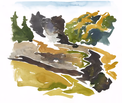Forest Abstract