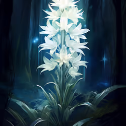 Mystical Bloom
