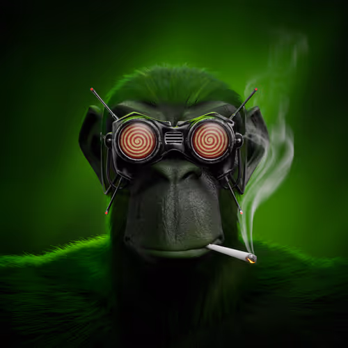 Wilderbeasts Wape