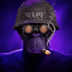 Wape #264