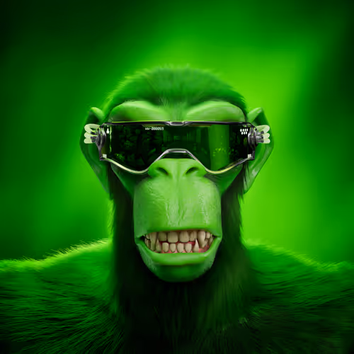 Wilderbeasts Wape