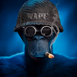 Wape #2368