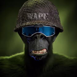 Wape #1141