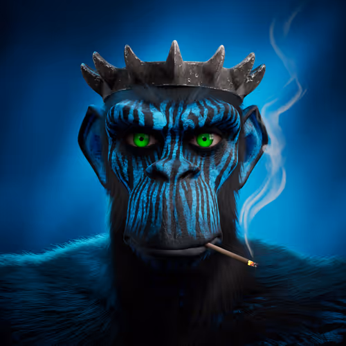 Item #73189802776650935068254376907500163435790734539105708916804090644324765681109 Media