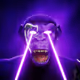 86724981021419384345485783150250022761422636415264875131484786498403224571036