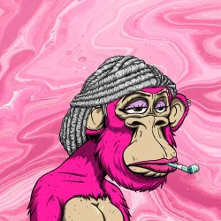 Grandma Ape Spa Club #2595