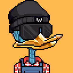 Bone Duck #934