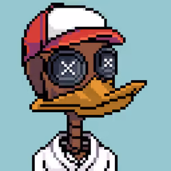 Bone Duck #377
