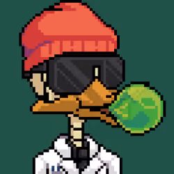 Bone Duck #1241