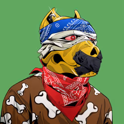 Angry Pitbull 6972