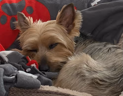 Item #950647730435591674149605862657427115256479983518000000000000000001 Media