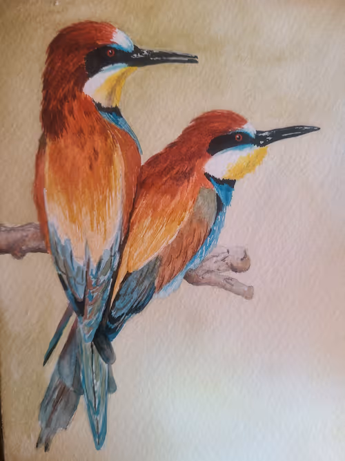 Item #827714418591587924730836885826873874501821059453000000000000000003 Media