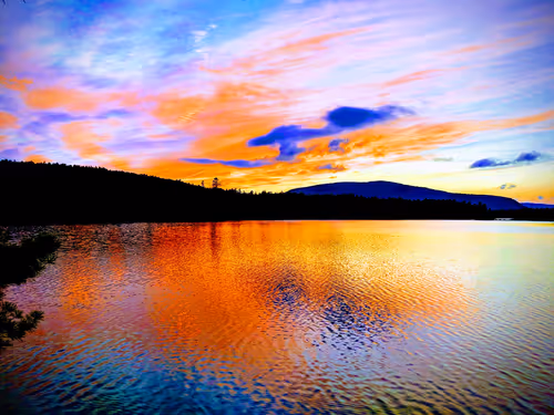 Item #1107960204000497867422068088963607013873458670320000000000000000001 Media