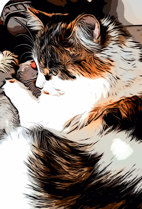 Item #544746147111881527089761406028261177513102846770000000000000000001 Media