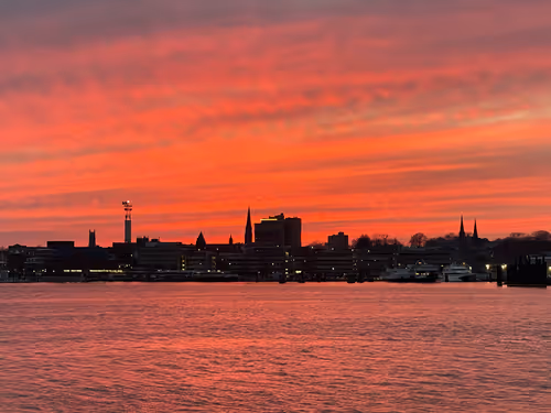 Item #528076153952881388585503815126891793326798638763000000000000000001 Media