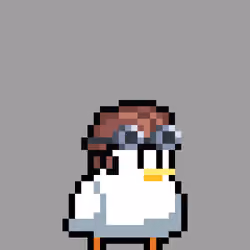 Semol Birbs #1004