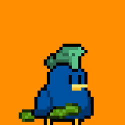 Semol Birbs #6716