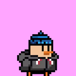 Semol Birbs #6384