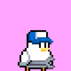 Semol Birbs #3323
