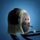 1654