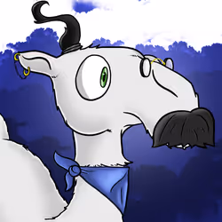 Crazy Camel #1502