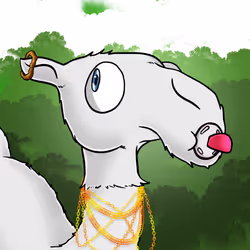 507