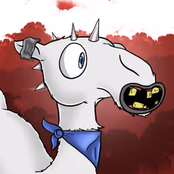 Crazy Camel #281