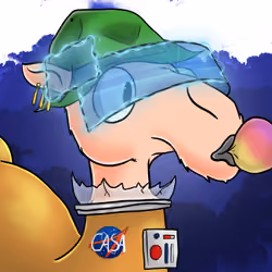 Crazy Camel #1594