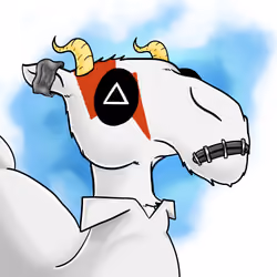 Crazy Camel #753
