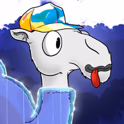 Crazy Camel #284