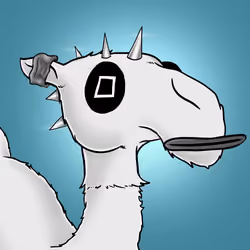 Crazy Camel #382