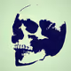 10 Skulls