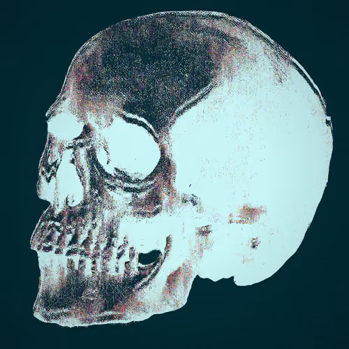 Plate V.08