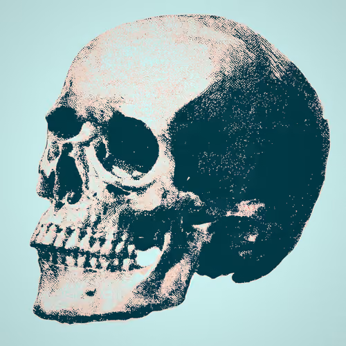 Plate V.07