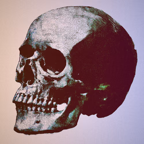 Plate V.05