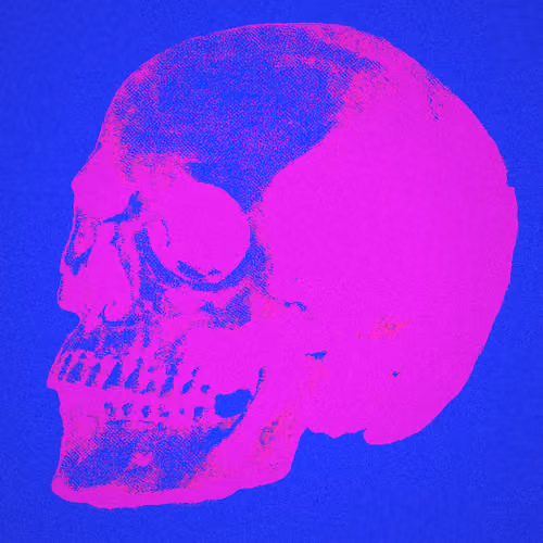 Plate V.02