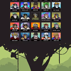 Primate Social Society #209
