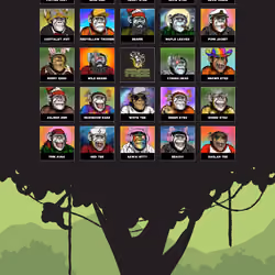 Primate Social Society #304