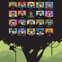 Primate Social Society #25