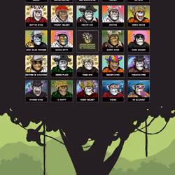 Primate Social Society #5