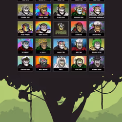 Primate Social Society #425