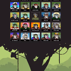 Primate Social Society #326