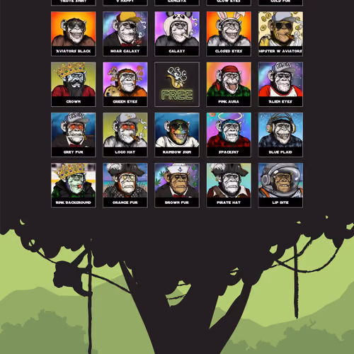 Primate Social Society #204