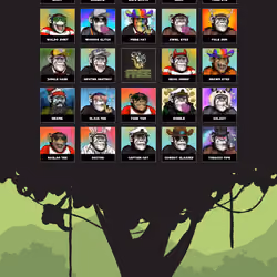 Primate Social Society #364