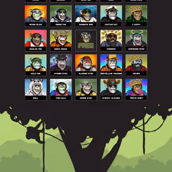 Primate Social Society #224