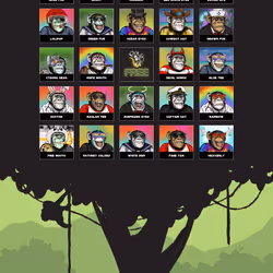 Primate Social Society #4