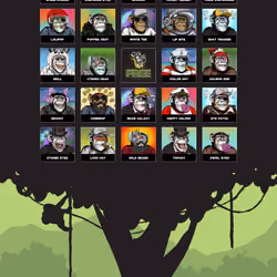 Primate Social Society #267