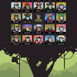 Primate Social Society #154