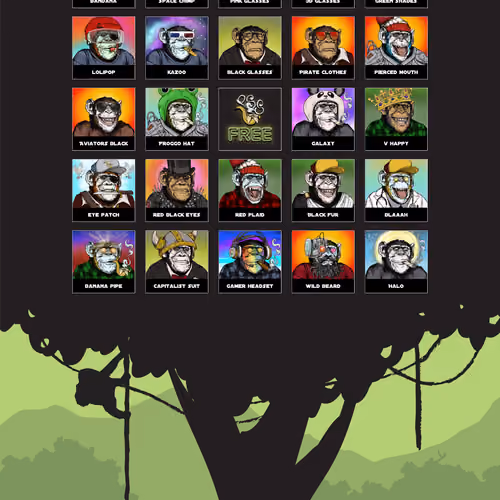 Primate Social Society #375